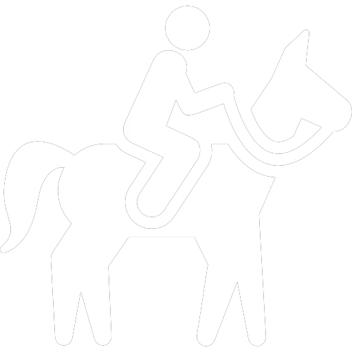 Icono de Clases de Equitacion